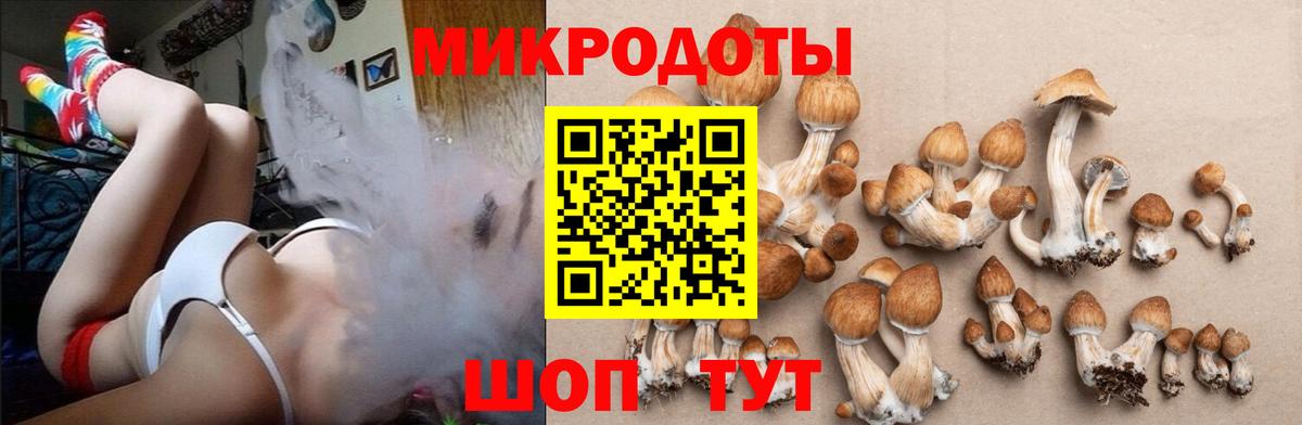 Новоуральск  Псилоцибиновые грибы мухоморы  Вход с VPN 